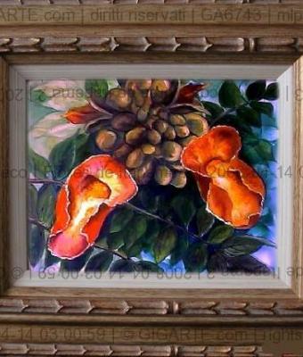 flores-de-itapema-2