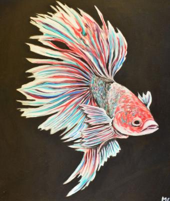 pesce-combattente2
