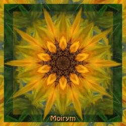 il-cromatismo-dei-fiori-digitali