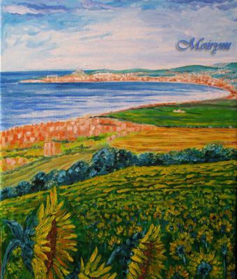 ancona-e-i-girasoli