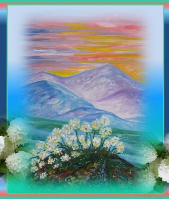 fioritura-solitaria-con-second