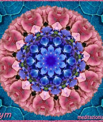 colori-in-contrasto