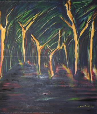 alberi-di-notte
