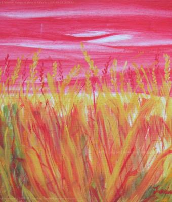 campo-di-grano-al-tramonto