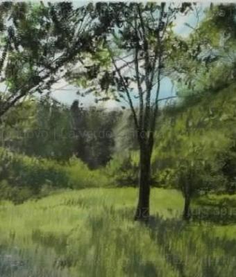 la-verde-sinfonia