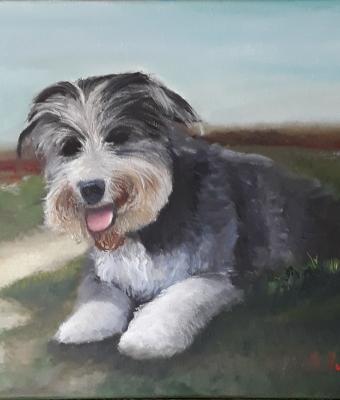 stella