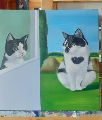 il-gatto-innamorato