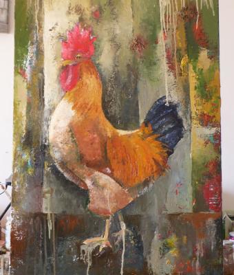 mr-cock