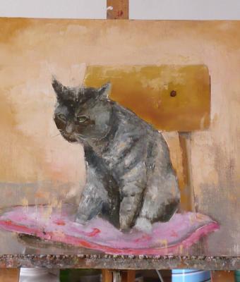 the-cat-is-on-the-chair