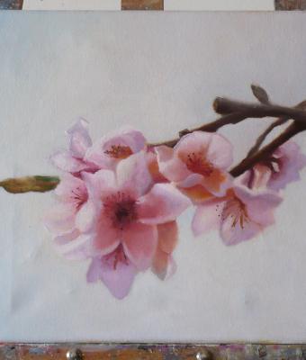 fiori-di-pesco