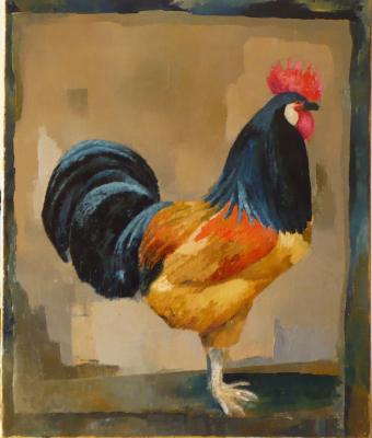 il-gallo