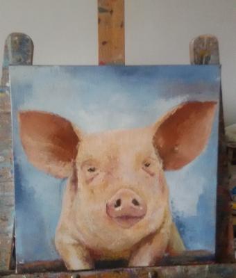 little-pig