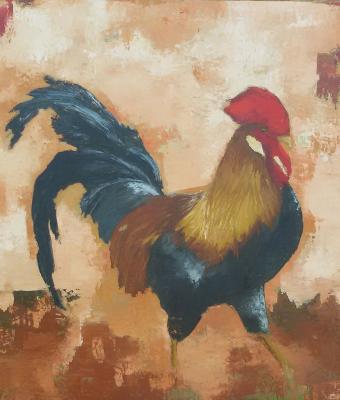 il-gallo