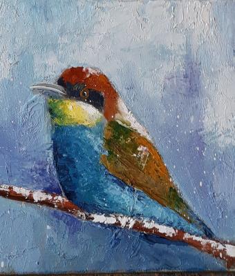 little-bird