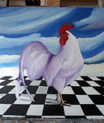 il-gallo
