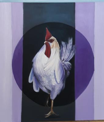 il-gallo
