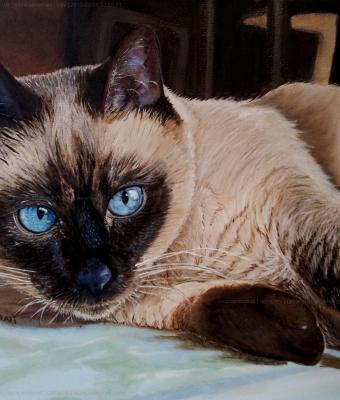 lilly
