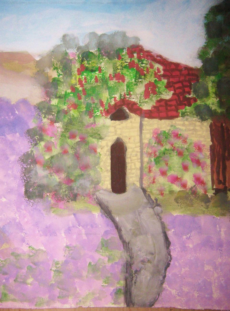 provenza-dettaglio