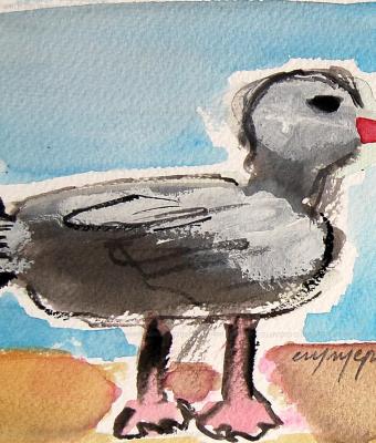 baby-seagull