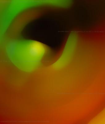 colori-in-movimento