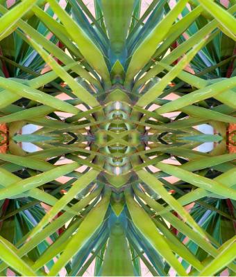 green-structure