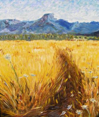 monte-arcuentu-sardegna
