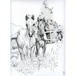 disegni-a-china-ink-drawings