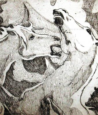 horse-fight