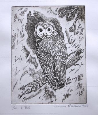the-little-owl-aquatint-versi
