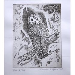 the-little-owl-aquatint-versi
