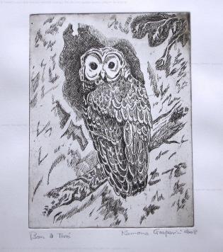 the-little-owl-aquatint-versi