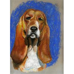 penelope-the-bassethound
