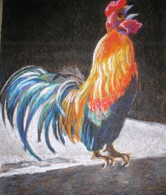 the-rooster