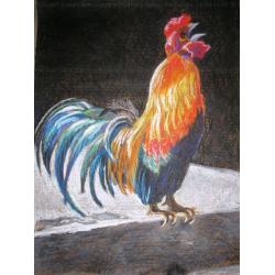 the-rooster