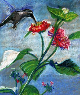 hummingbird