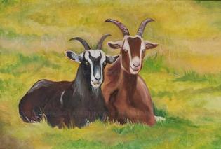 friends-in-a-field