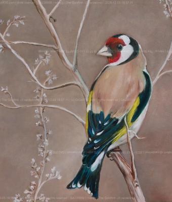 the-goldfinch-il-cardellino
