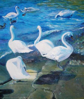 wings-by-the-lake