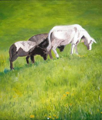 einsiedeln-grazing-sheep