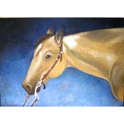 cutter-bills-borrego-aqh-2
