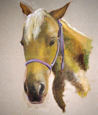 miss-nik-chex-quarter-horse