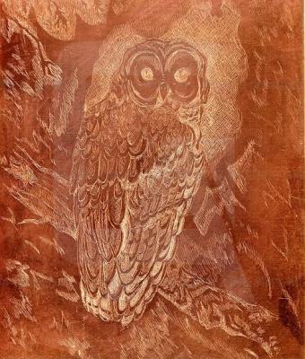 the-little-owl-2