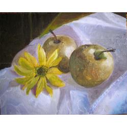 nashi-still-life