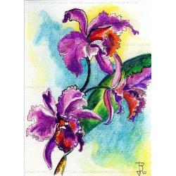 orchid