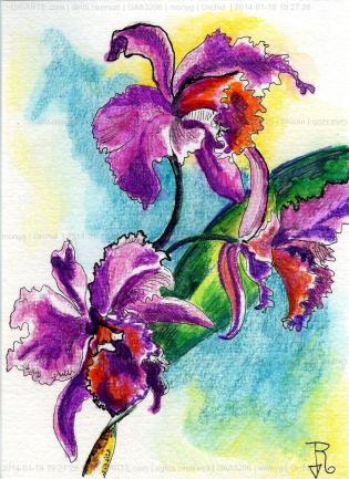 orchid