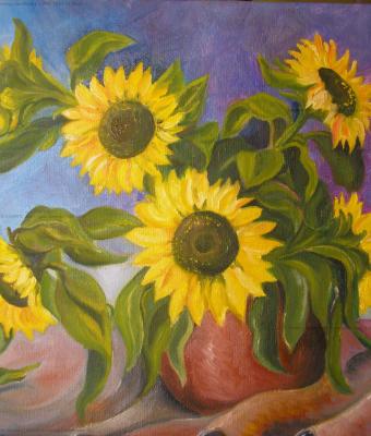 sunflowers