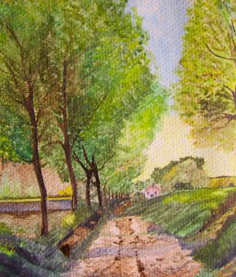 viale-alberato-vicino-al-paese