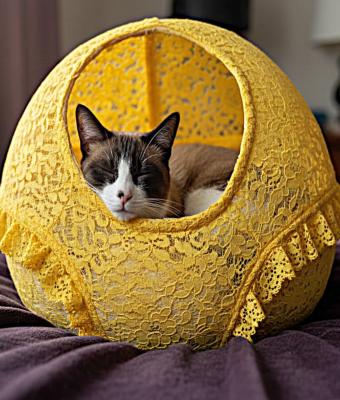 giotto-da-spheropolis