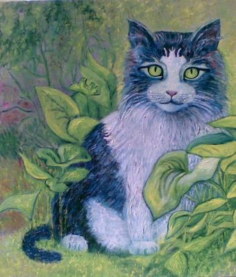gatto-babuk
