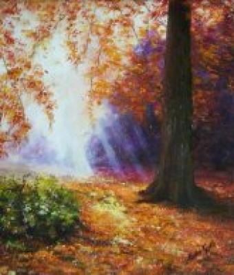nel-bosco